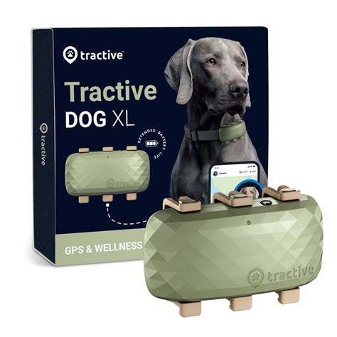 dog walking gps tracker